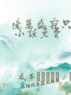 亿万盛宠只为你 小说免费