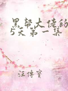 黑帮大佬的365天第一集