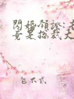 闪婚领证:老公竟是总裁大人