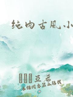 纯肉古风小说