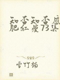 知否知否应是绿肥红瘦73集