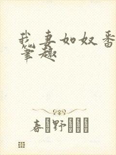 我妻如奴番外篇笔趣