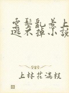 云鬓乱惹上权臣逃不掉小说全文免费阅读
