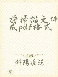 将扫描文件转换成pdf格式