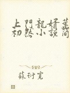 上门龙婿叶辰萧初然小说简介
