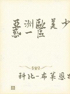 亚洲欧美少妇诱惑一区