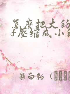 怎么把大的pdf压缩成小的