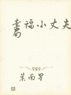 幸福小丈夫大结局