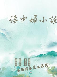 淫少妇小说合集