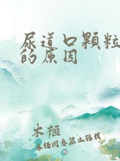 尿道口颗粒异味的原因