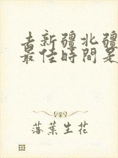 去新疆北疆旅游最佳时间是几月份