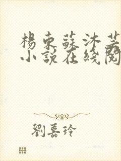 杨东苏沐芸完结小说在线阅读