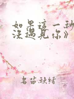 如果这一秒,我没遇见你》