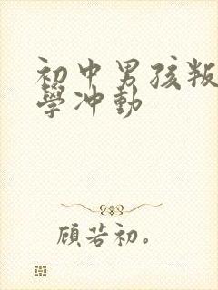 初中男孩叛逆厌学冲动