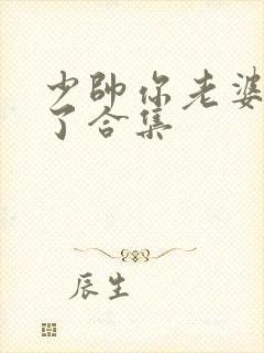 少帅你老婆又跑了合集