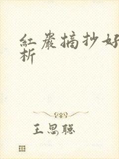 红岩摘抄好句赏析