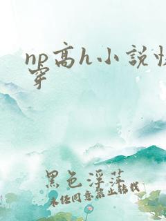 np高h小说快穿