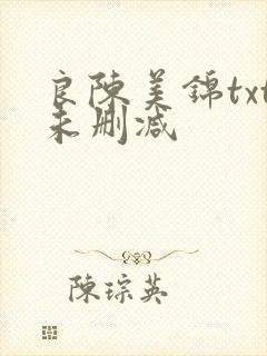 良陈美锦txt未删减