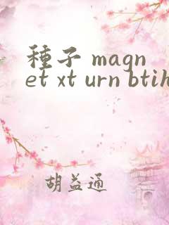 种子 magnet xt urn btih