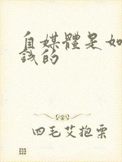 自媒体是如何挣钱的