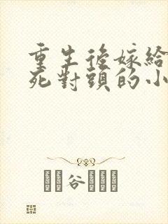 重生后嫁给渣男死对头的小说