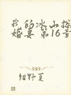 我的冰山总裁未婚妻 第16章