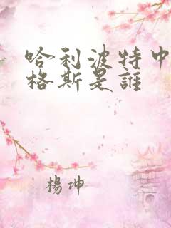 哈利波特中蒙顿格斯是谁