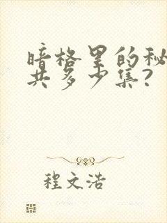暗格里的秘密一共多少集?