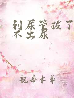 到尿管拔了后尿不出尿