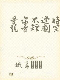 爱你不逢时免费观看短剧完整版