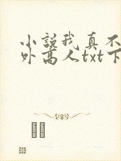 小说我真不是世外高人txt下载