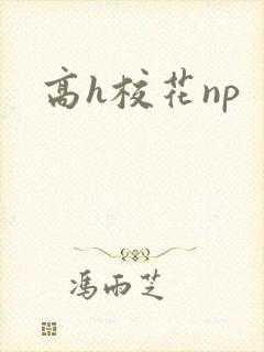 高h校花np