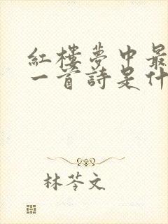 红楼梦中最长的一首诗是什么