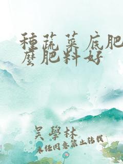 种蔬菜底肥用什么肥料好