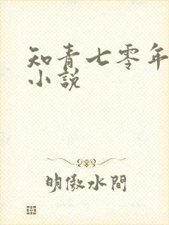 知青七零年代的小说
