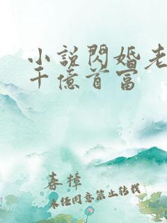 小说闪婚老公是千亿首富