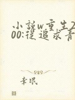 小说w重生2000:从追求青涩校花同桌开始》