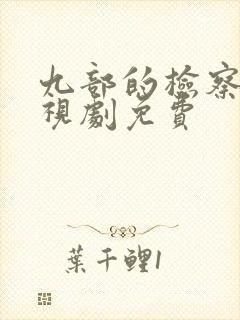 九部的检察官电视剧免费