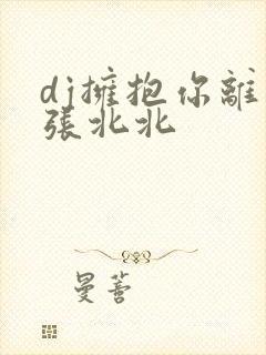 dj拥抱你离去张北北