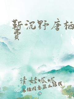 靳沉野唐栖雾免费