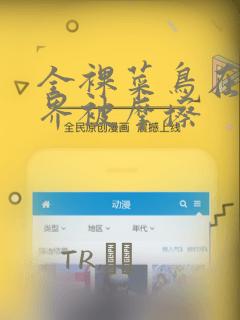 火影同人版怎么看