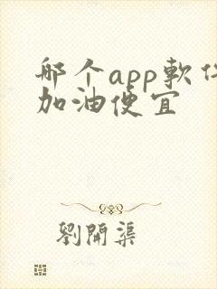 哪个app软件加油便宜