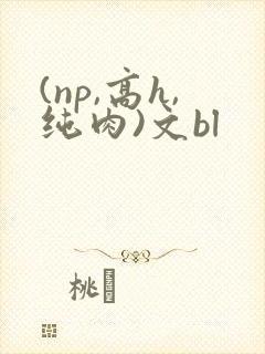 (np,高h,纯肉)文bl