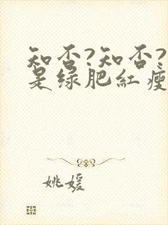 知否?知否?应是绿肥红瘦(网文版)