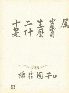 十二生肖属日肖是什么肖