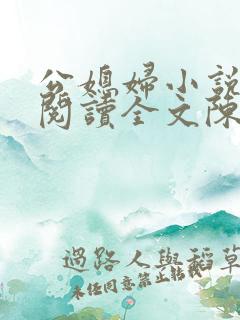 公媳妇小说免费阅读全文陈