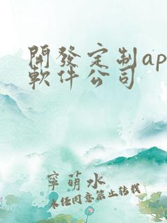 开发定制app软件公司