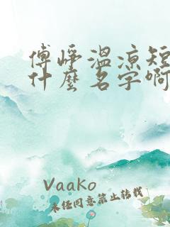 傅峥温凉短剧叫什么名字啊