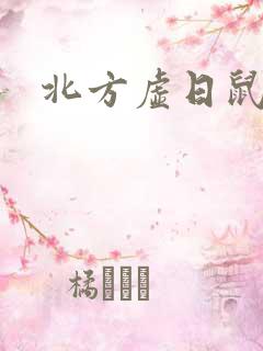 北方虚日鼠