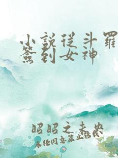 小说从斗罗开始签到女神
